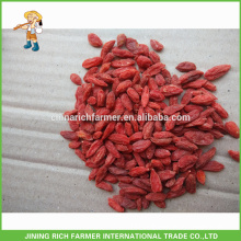 Export To Germany Ningxia High Quality Dried Wolf Berry